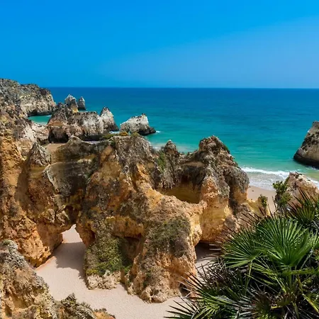 A05 - Luxury 1 Bed Fully Equipped With Pool *